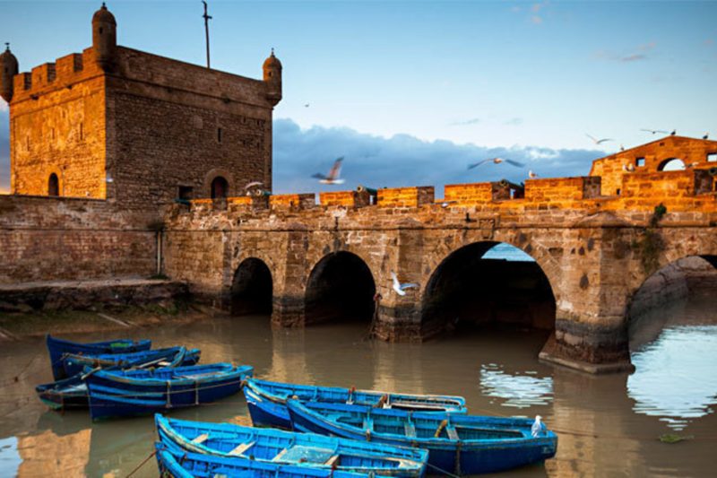 Excursion Full Day Trip To Essaouira Mogador And Portuguese Fortress From Marrakech
