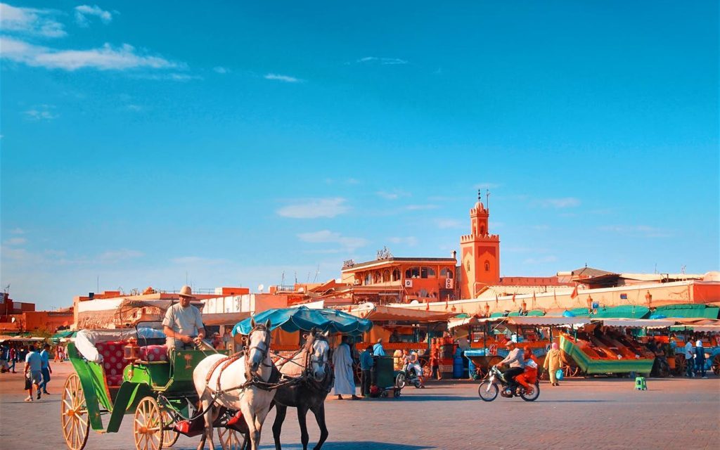 Excursion Full day guided city tour of Marrakech including gardens and landmarks